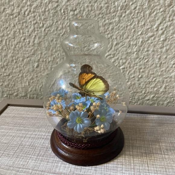 Real Butterfly Taxidermy Mini Globe Vintage - Picture 2 of 6